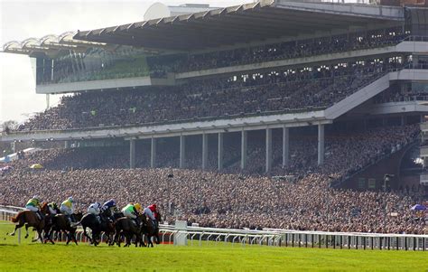 tips for cheltenham 2020|Cheltenham Festival Tips, Race Cards, Results and Free Bets.